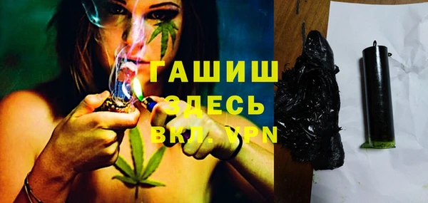 стаф Алексин