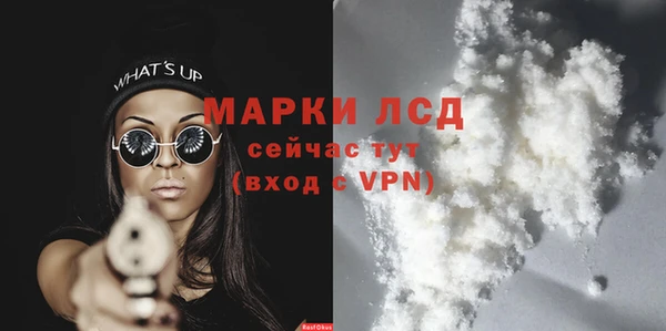 стаф Алексин