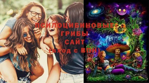 стаф Алексин