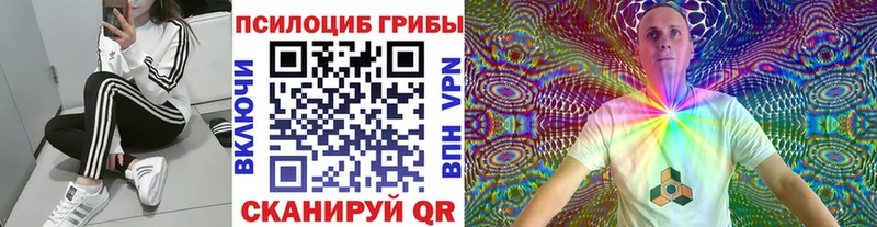 MEGA ТОР Карачев Галлюциногенные грибы MAGIC MUSHROOMS