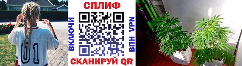 Марихуана марихуана Карачев